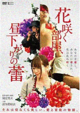 电影分类单片速览示意